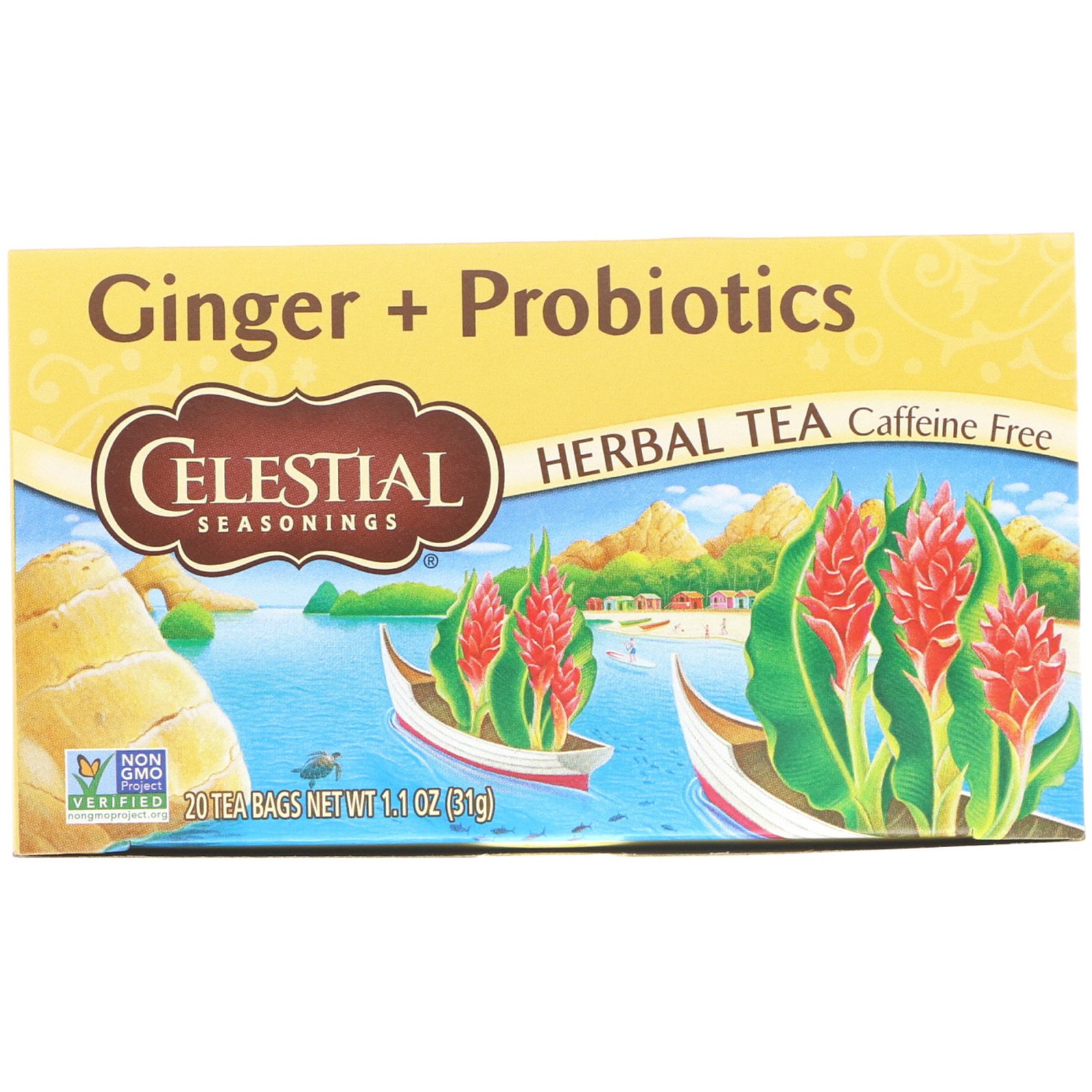 Comprar Celestial Seasonings, Chá Herbáceo, Gengibre + Probióticos, Sem Cafeína, 20 Saquinhos de Chá, 1,1 oz (31 g)