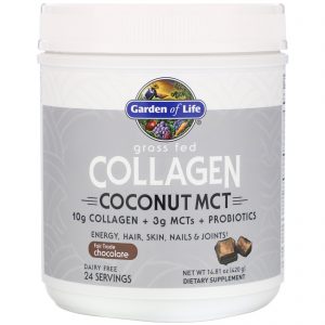 Comprar Garden of Life, Colágeno de Gado Alimentado com Grama, TCM de Coco, Chocolate, 420 g (14,81 oz)