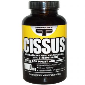 Comprar Primaforce, Cissus, 1000 mg, 120 Cápsulas Vegetarianas