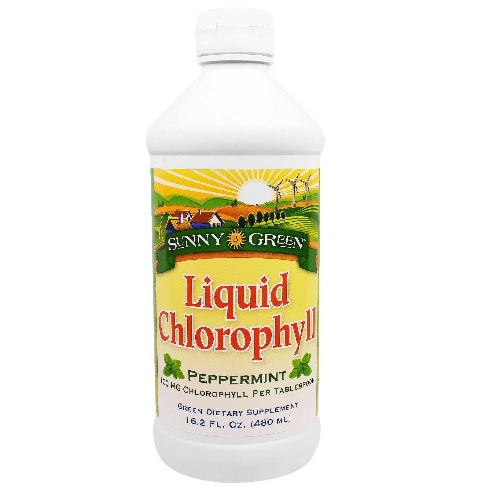 Comprar Sunny Green, Clorofila Líquida, Hortelã, 100mg, 480ml