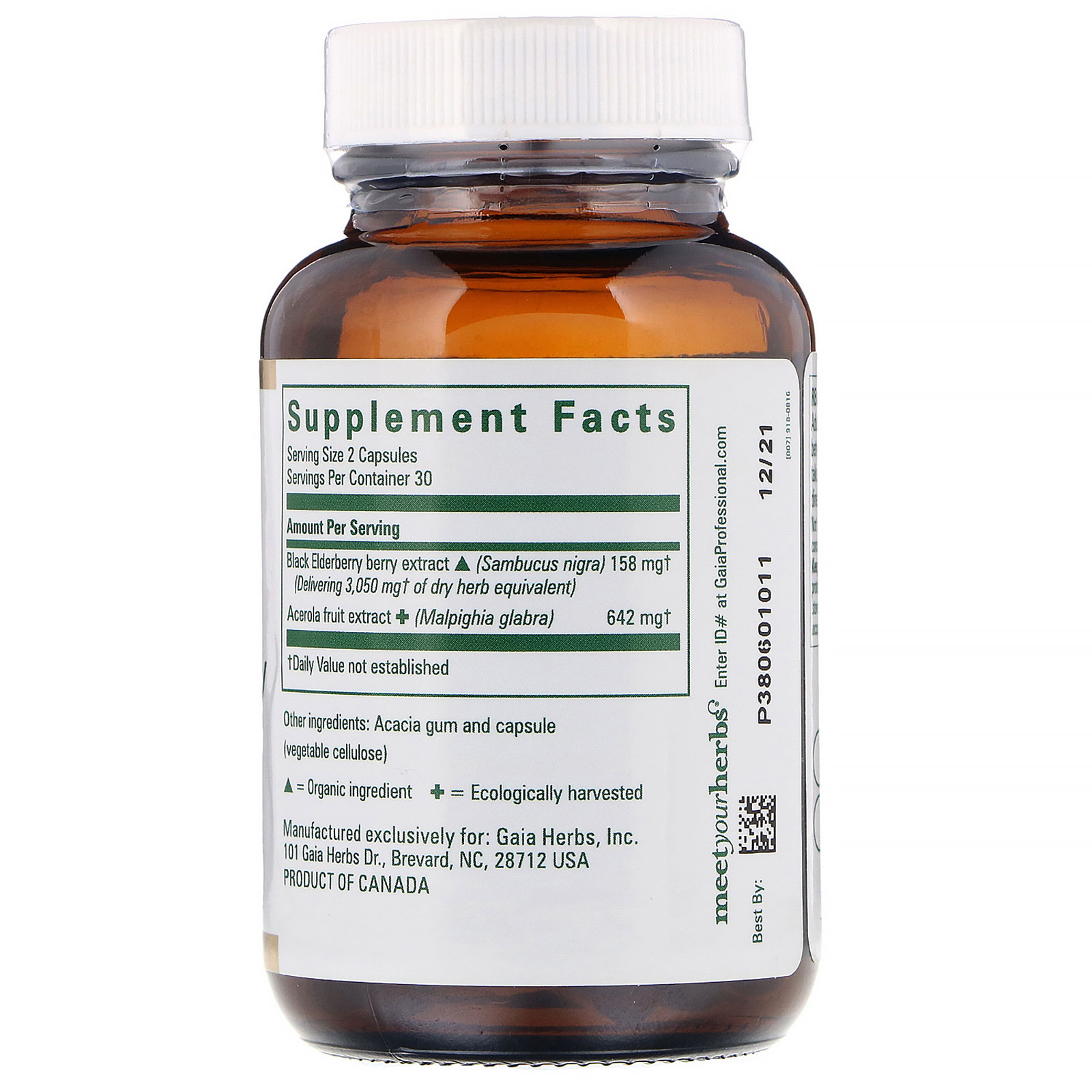 Comprar Gaia Herbs Professional Solutions, Sabugueiro Preto, 60 Cápsulas (Pó) - Imagem 2