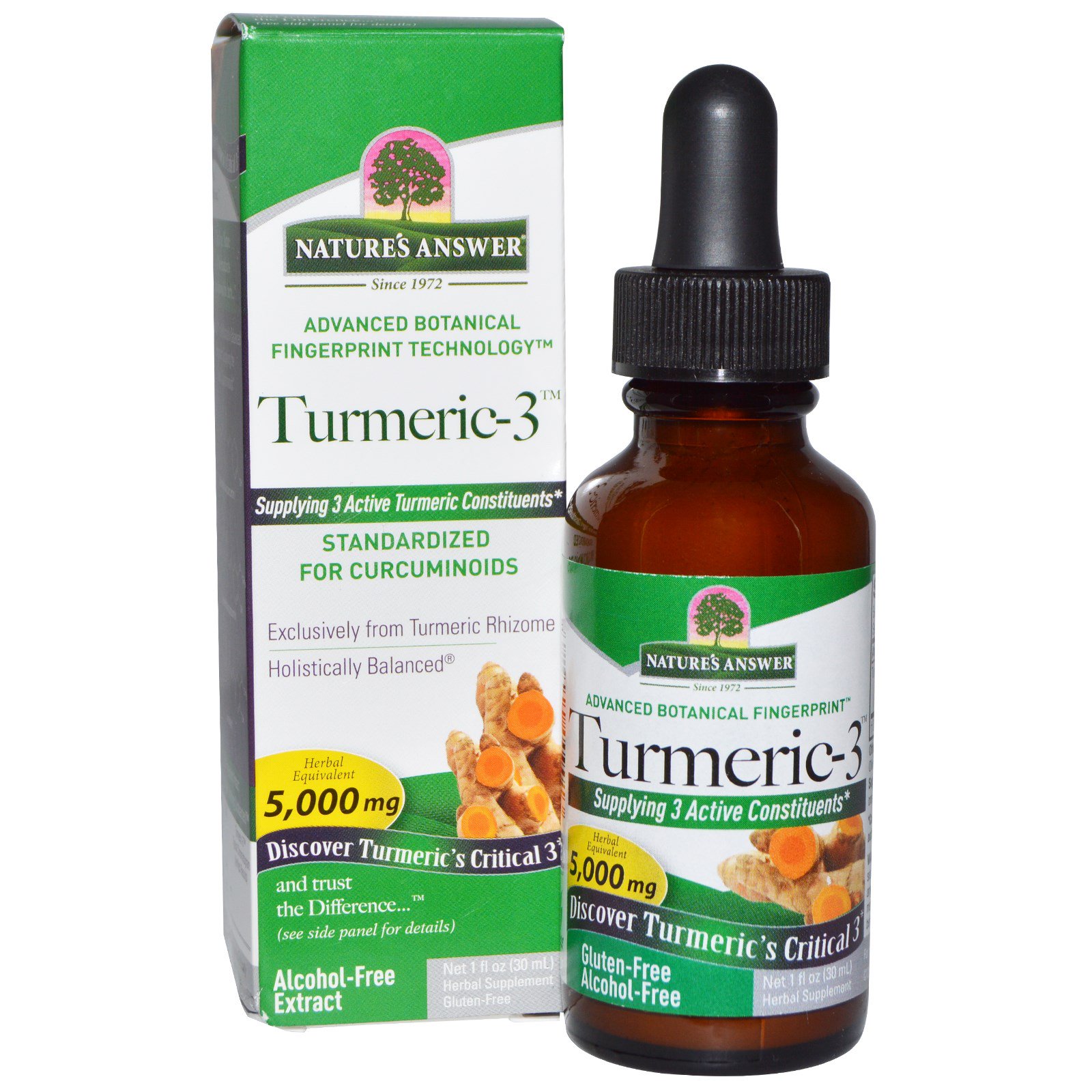 Comprar Nature's Answer, Tumérico-3, Sem Álcool, 5.000 mg, 1 fl oz (30 ml)