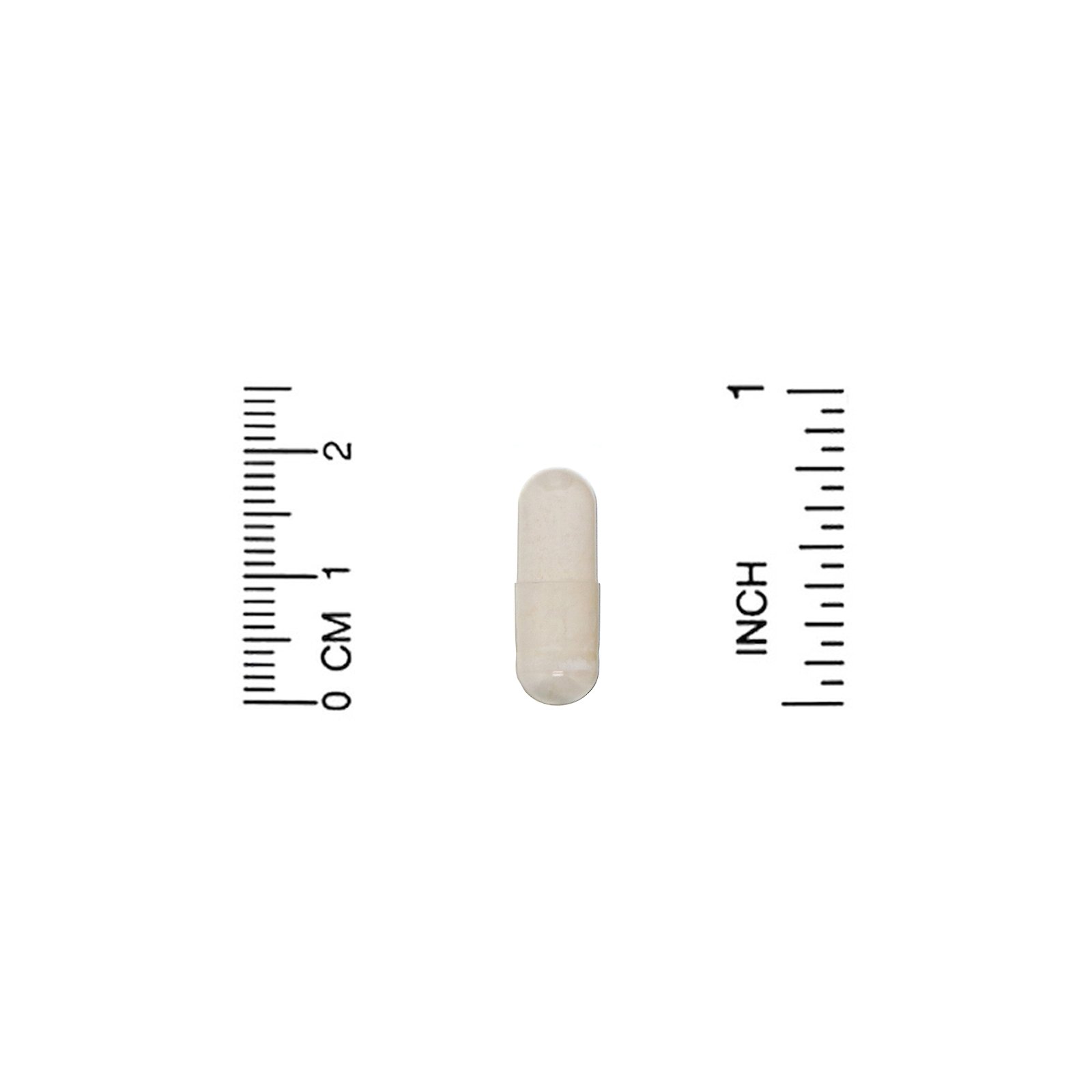 Comprar Lake Avenue Nutrition, Serrapeptase, Enzima Proteolítica, 40.000 SPUs, 30 Cápsulas Vegetais - Imagem 3