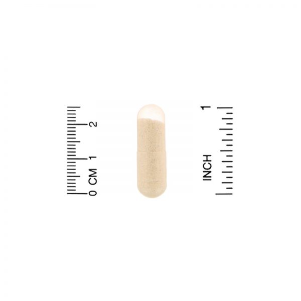 Comprar BioSchwartz, Fórmula Avançada de Multivitamínico para Mulheres Acima de 50 Anos, 60 Cápsulas Vegetais - Imagem 4