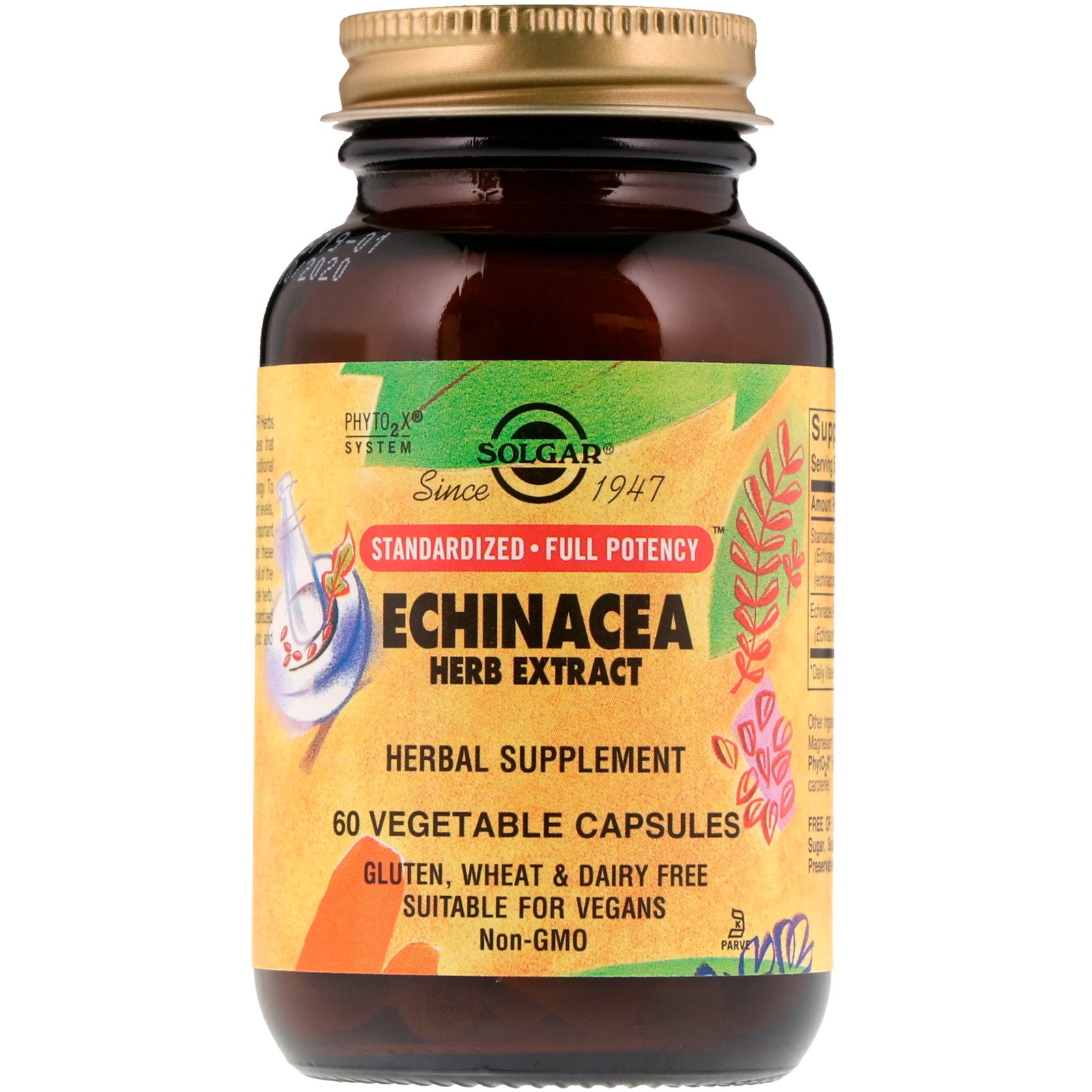 Comprar Solgar, Extrato de Raiz de Equinácea, 60 Cápsulas Vegetais
