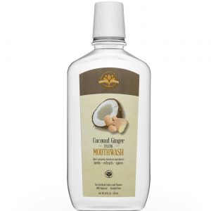 Comprar Nature's Artisan Gourmet Xylitol Mouthwash, Gengibre de coco - 16 fl oz