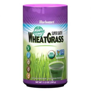 Comprar Bluebonnet Nutrition, SuperEarth™ Grama de Trigo Orgânico - 320g (11,2 oz)