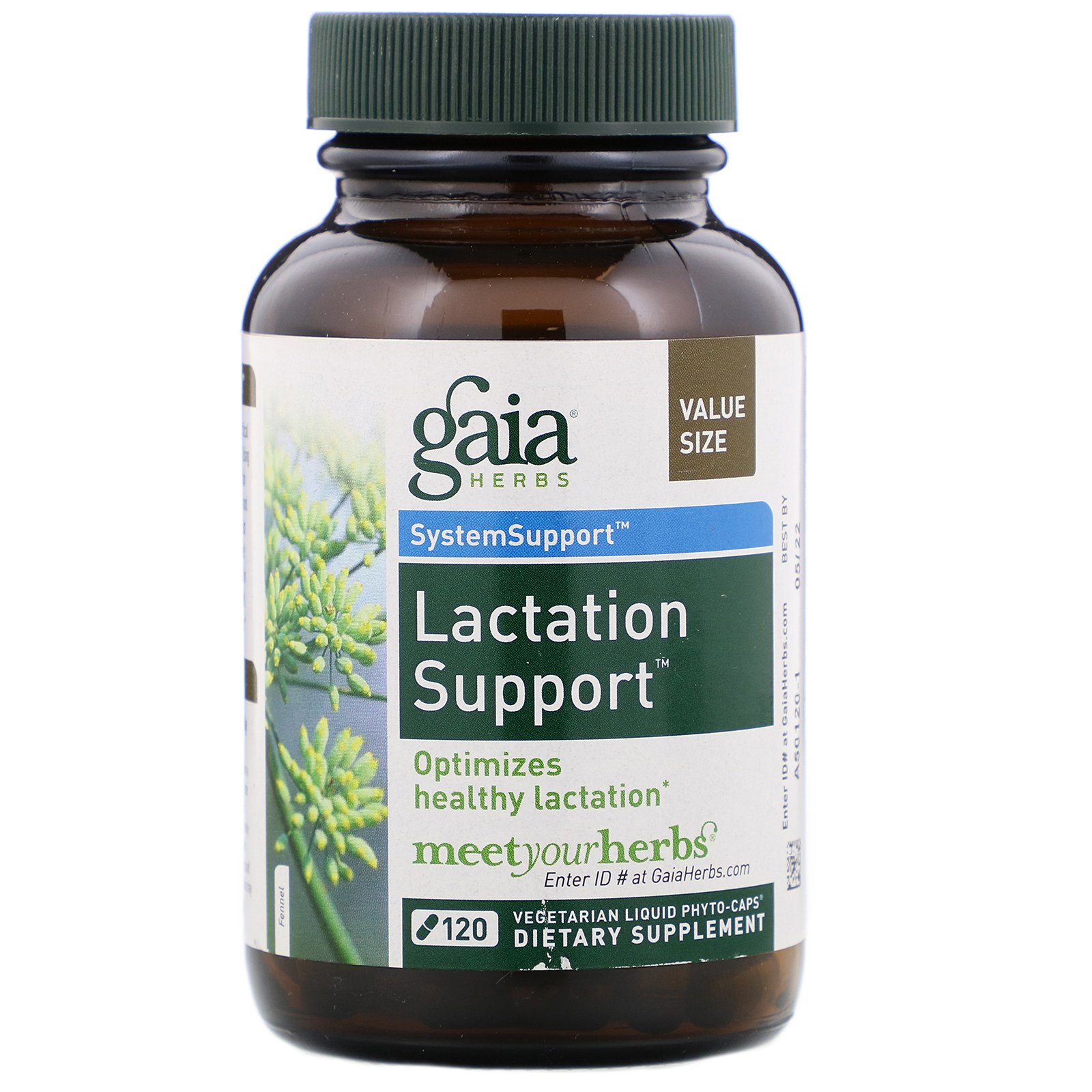 Comprar Gaia Herbs, Suporte de Lactato, 120 fitocápsulas vegetarianas com líquido
