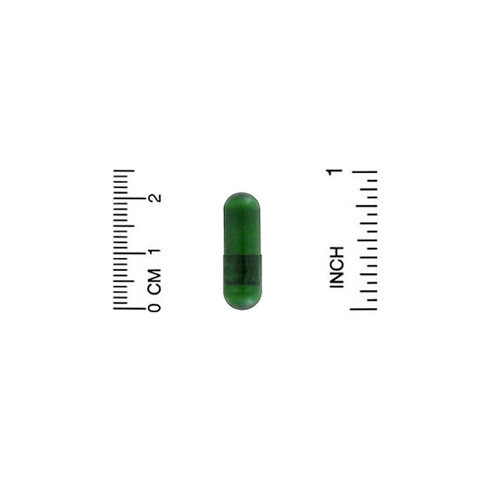 Comprar California Gold Nutrition, Echinacea, EuroHerbs, Pó Integral, 400 mg, 60 Cápsulas Vegetais - Imagem 3