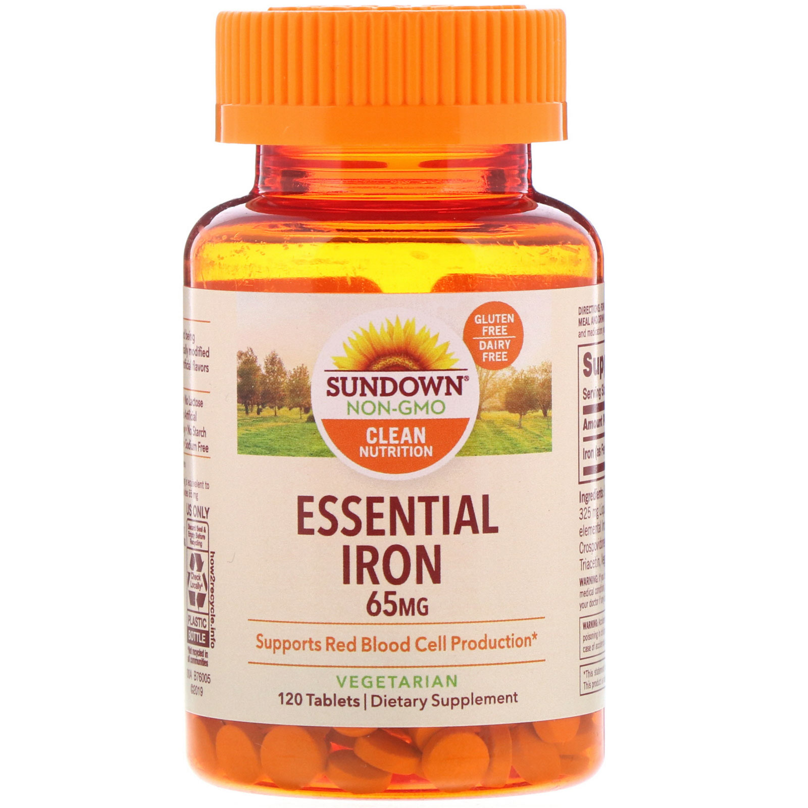 Comprar Sundown Naturals, Essential Iron, 65 mg, 120 Tablets