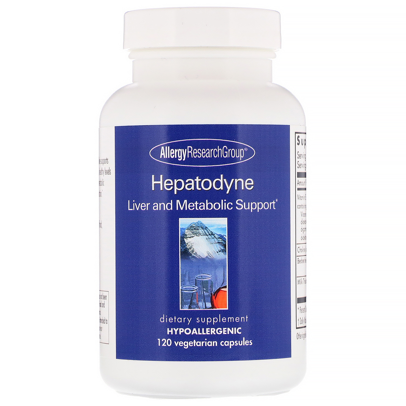 Comprar Allergy Research Group, Hepatodyne, Liver and Metabolic Support, 120 Vegetarian Capsules