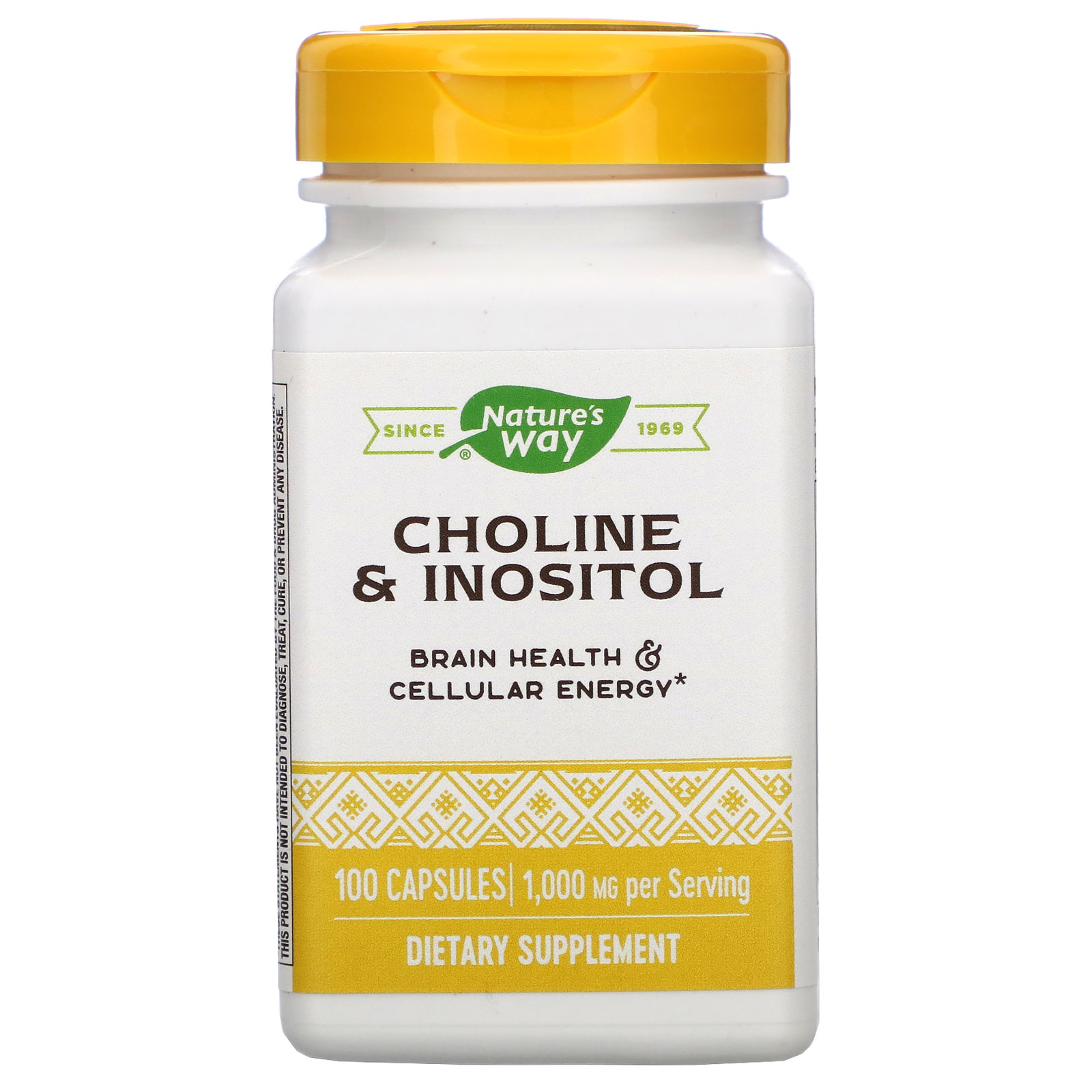 Comprar Nature's Way, Colina e Inositol, 500 mg, 100 Cápsulas