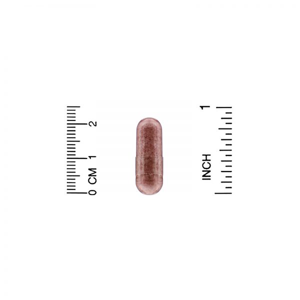 Comprar New Chapter, Perfect Hair, Skin & Nails, 60 Vegan Capsules - Imagem 4