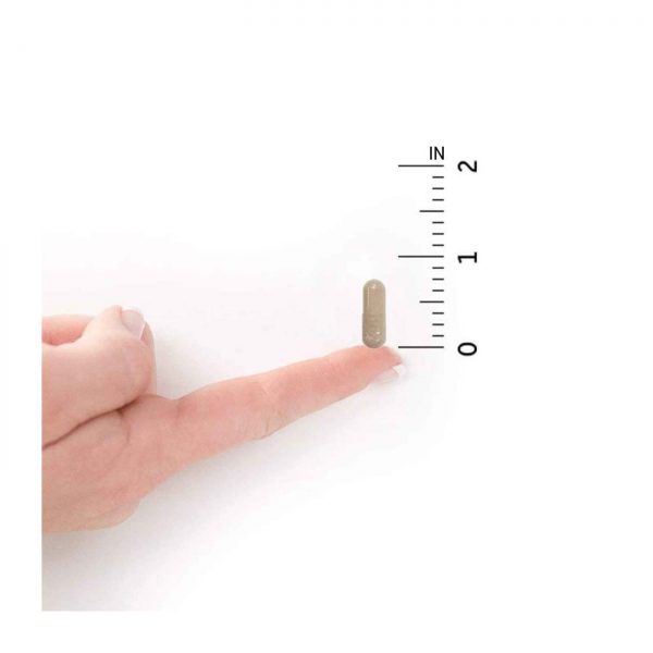Comprar Garden of Life, Multivitamínico para Mulheres +50 - 120 Cápsulas Vegetarianas - Imagem 5