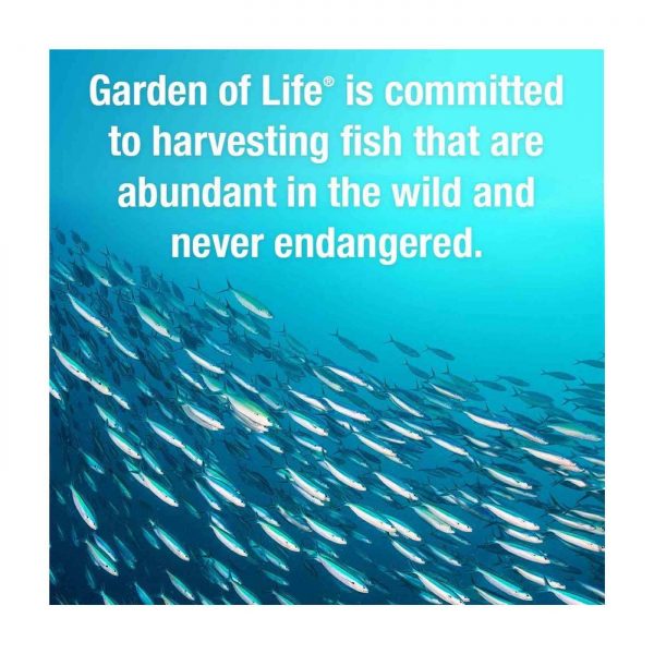 Comprar Garden of Life - Ocean's 3 - ​​Hormônios saudáveis - 90 Cápsulas em gel - Imagem 6