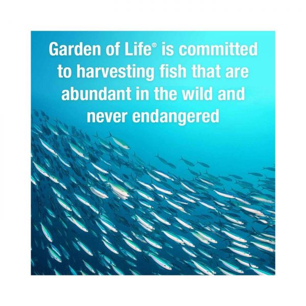 Comprar Garden of Life, Oceans 3™ - Além do ômega-3 - 60 Cápsulas - Imagem 6