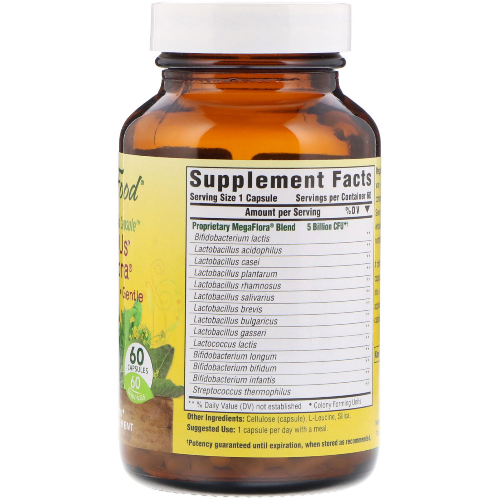 Comprar MegaFood, Kids N' Us MegaFlora, 5 Billion CFU, 60 Capsules - Imagem 2