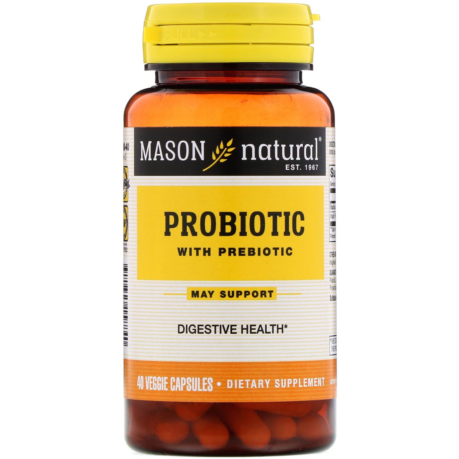 Comprar Mason Natural, Probiótico com Prebiótico, 40 Cápsulas Vegetarianas
