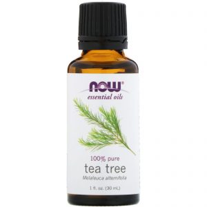 Comprar Now Foods, Óleos Essenciais, Árvore-do-Chá, 30 ml
