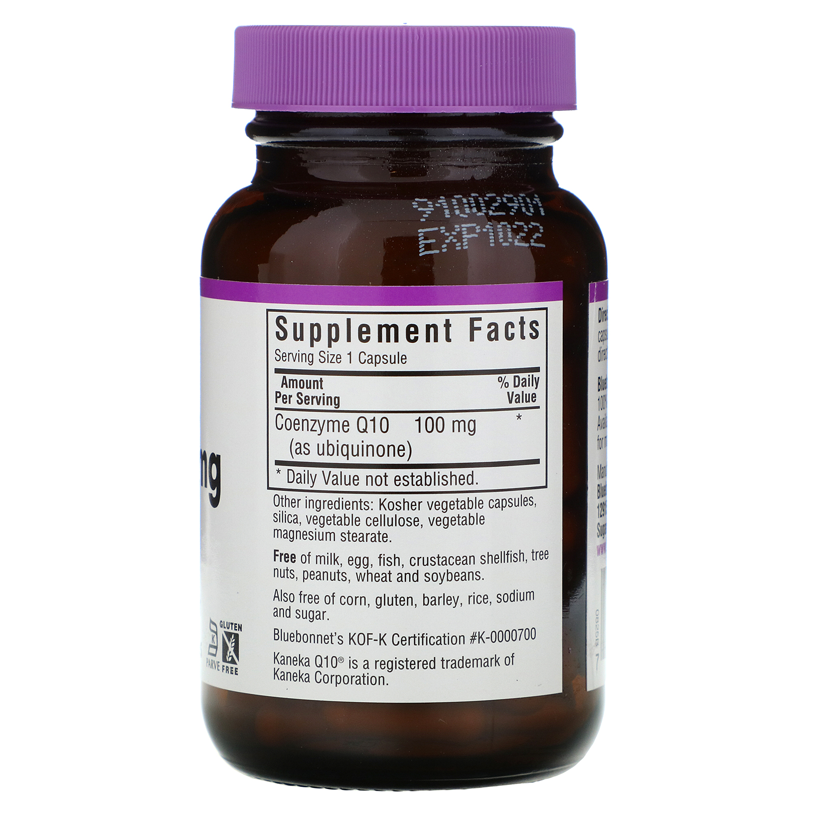 Comprar Bluebonnet Nutrition, CoQ10, 100 mg, 90 Cápsulas Vegetais - Imagem 2