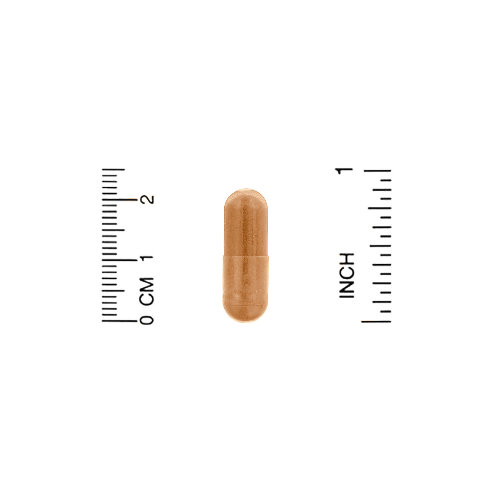 Comprar Organic India, Fórmula de Cúrcuma, Mobilidade e Auxílio das Articulações, 180 Cápsulas Vegetais - Imagem 3