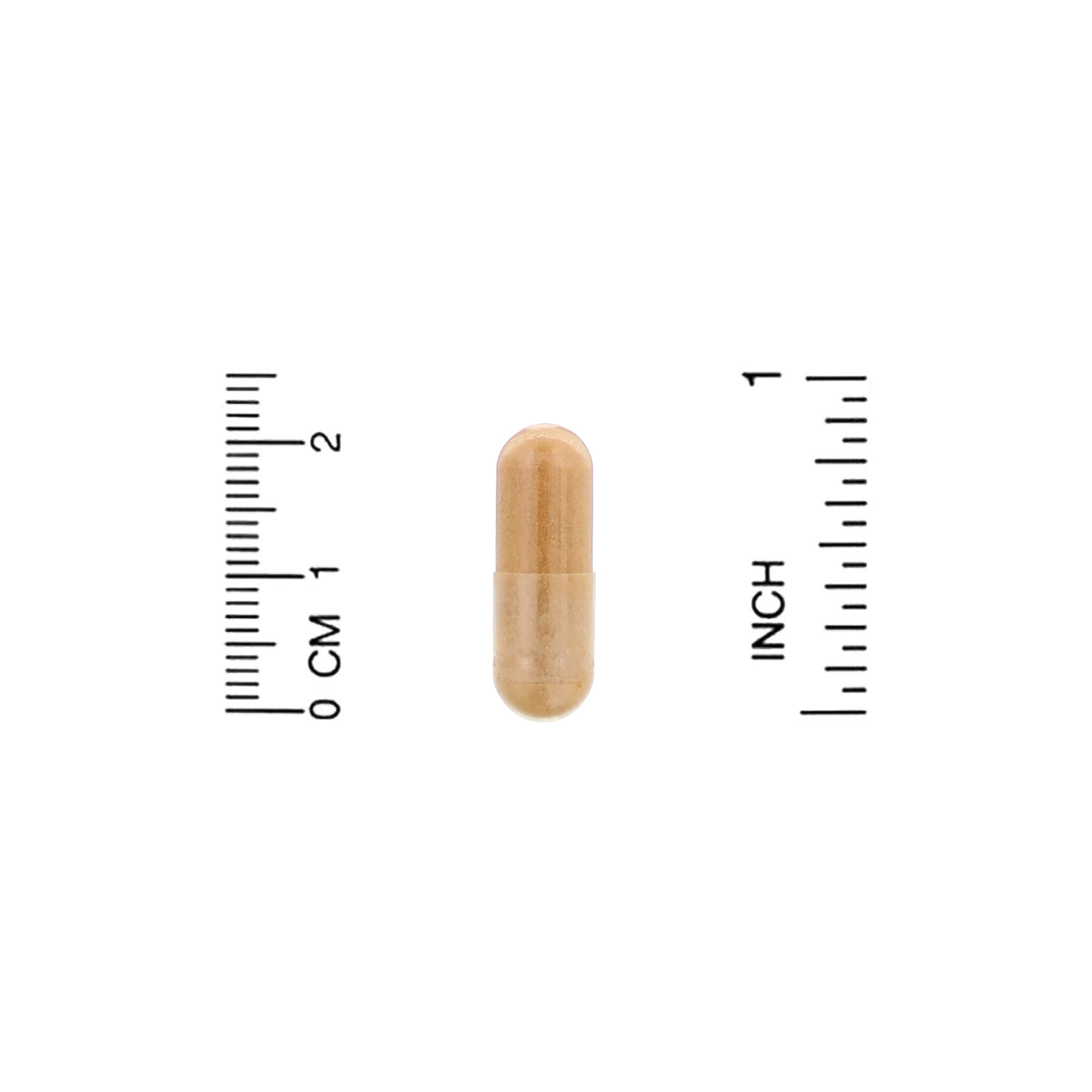 Comprar Organic India, Ceylon Cinnamon, 90 Vegetarian Caps - Imagem 3