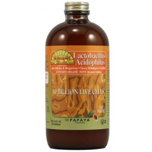 Comprar Dynamic Health Laboratories Lactobacillus acidophilus Líquido Papaya 16 fl oz