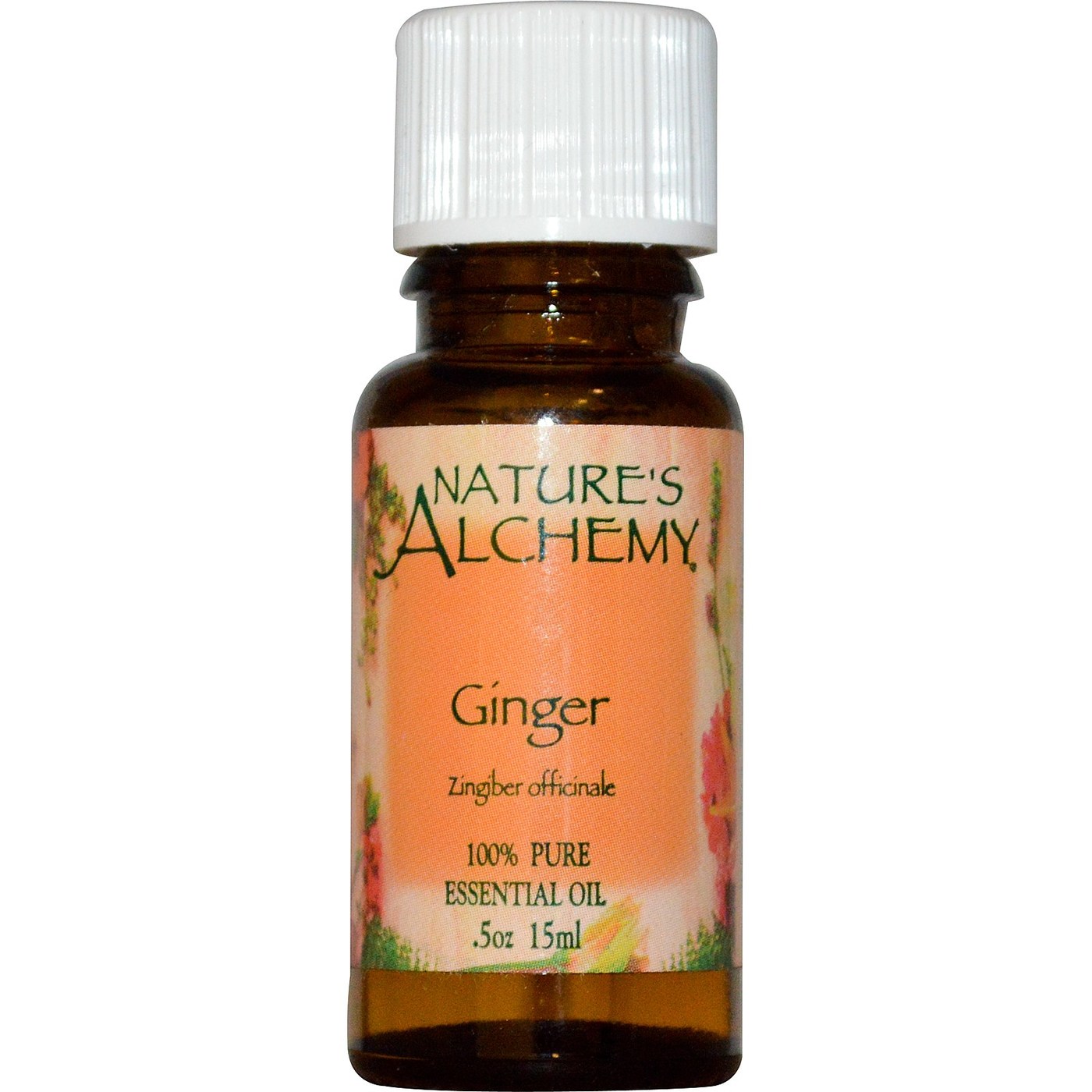 Comprar Nature's Alchemy, Óleo Essencial de Gengibre - 0,5 oz (15mL)