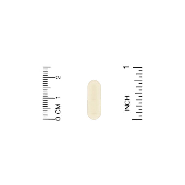 Comprar Kyolic, Kyo-Dophilus, Enzyme+ Probiotic, 2 Billion CFU, 120 Capsules - Imagem 4