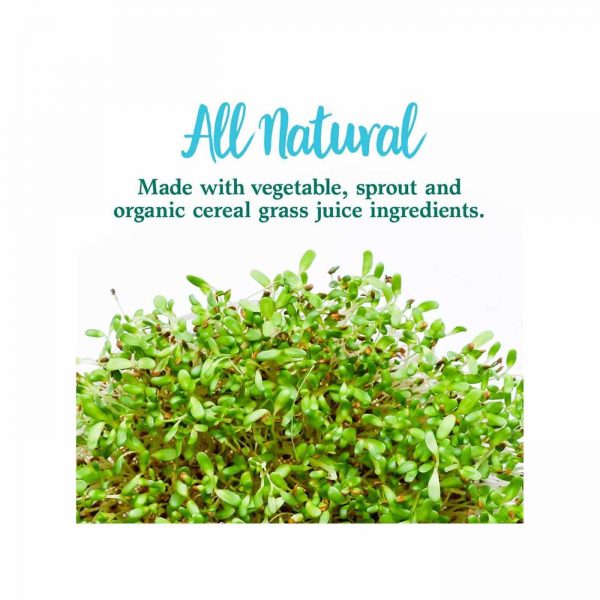 Comprar Garden of Life, Alimento Perfeito com Selo Verde - 600 g - Imagem 6