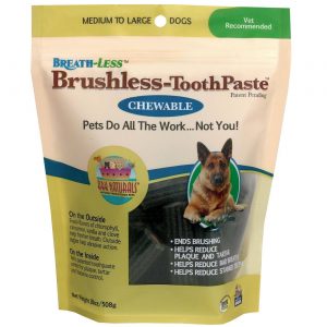 Comprar Ark Naturals, Pasta de Dente sem Escovação - 508g (18 fl oz)