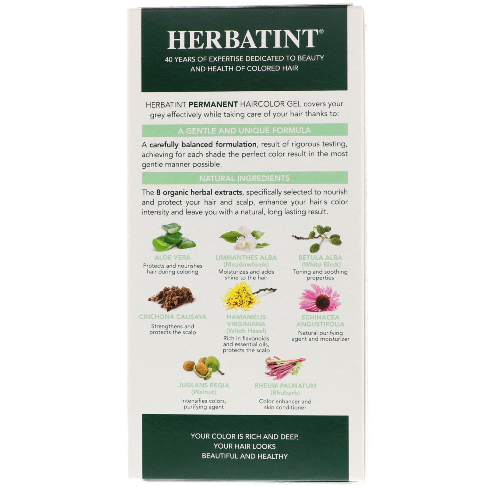 Comprar Herbatint, Permanent Haircolor Gel, 6C, Dark Ash Blonde, 4.56 fl oz (135 ml) - Imagem 2