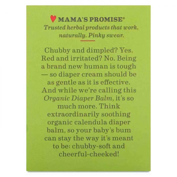 Comprar Earth Mama Angel Baby Organic Diaper Balm 60 ml - Imagem 5