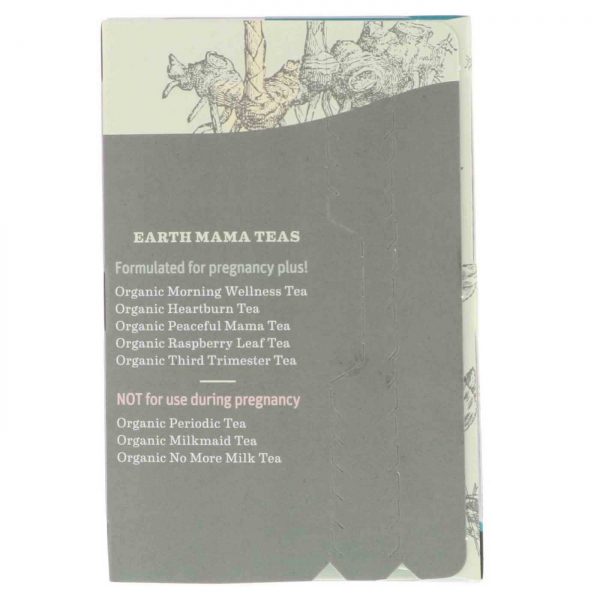 Comprar Earth Mama Angel Bebê Manhã Orgânico Wellness Chá 16 Sacos - Imagem 4