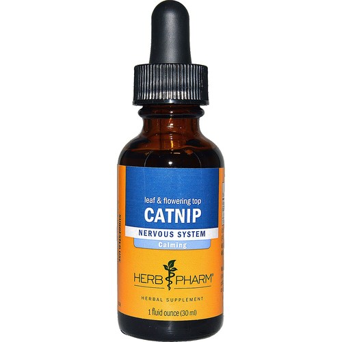 Comprar Erva Pharm Catnip uma onça