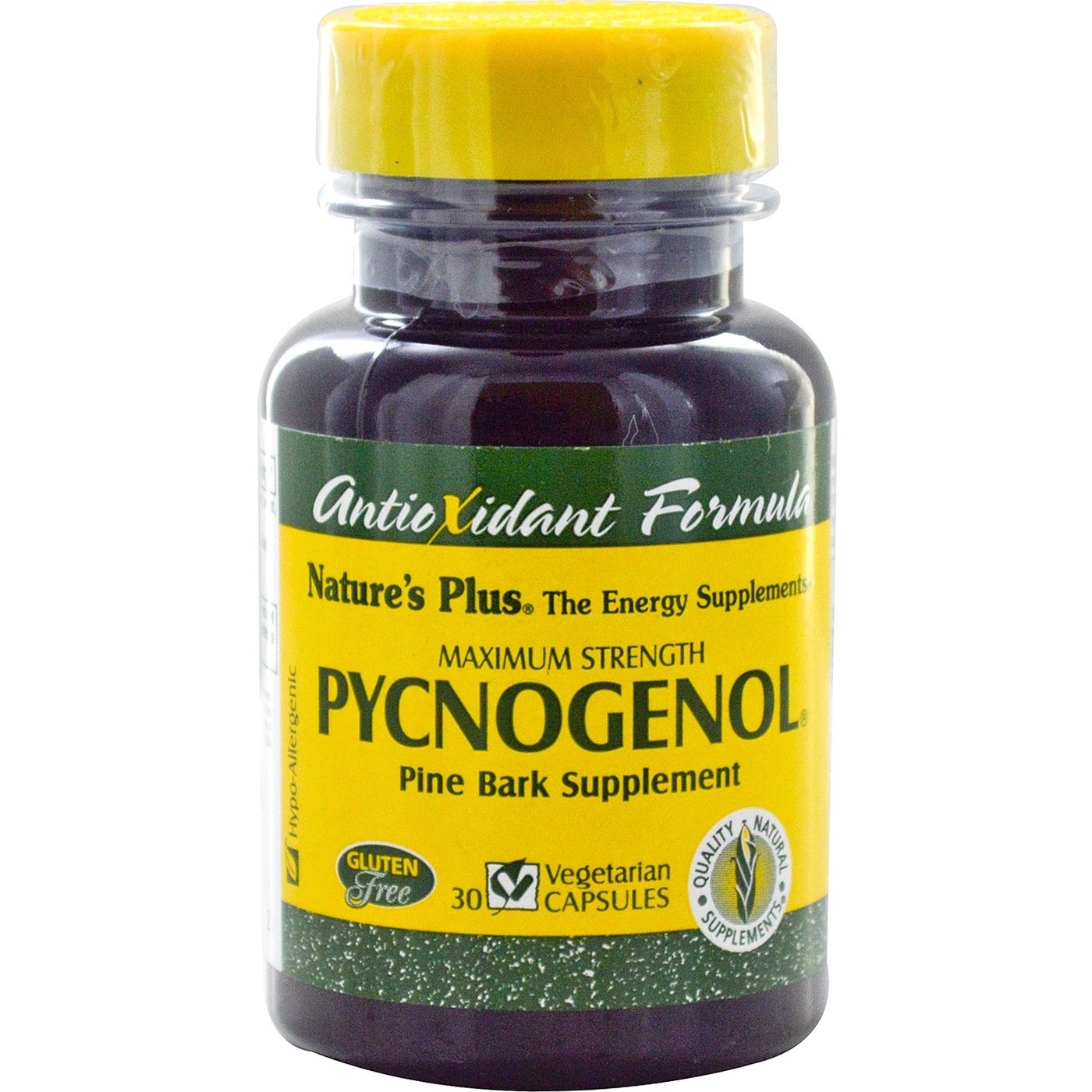 Comprar Pycnogenol Nature's Plus 30 Cápsulas
