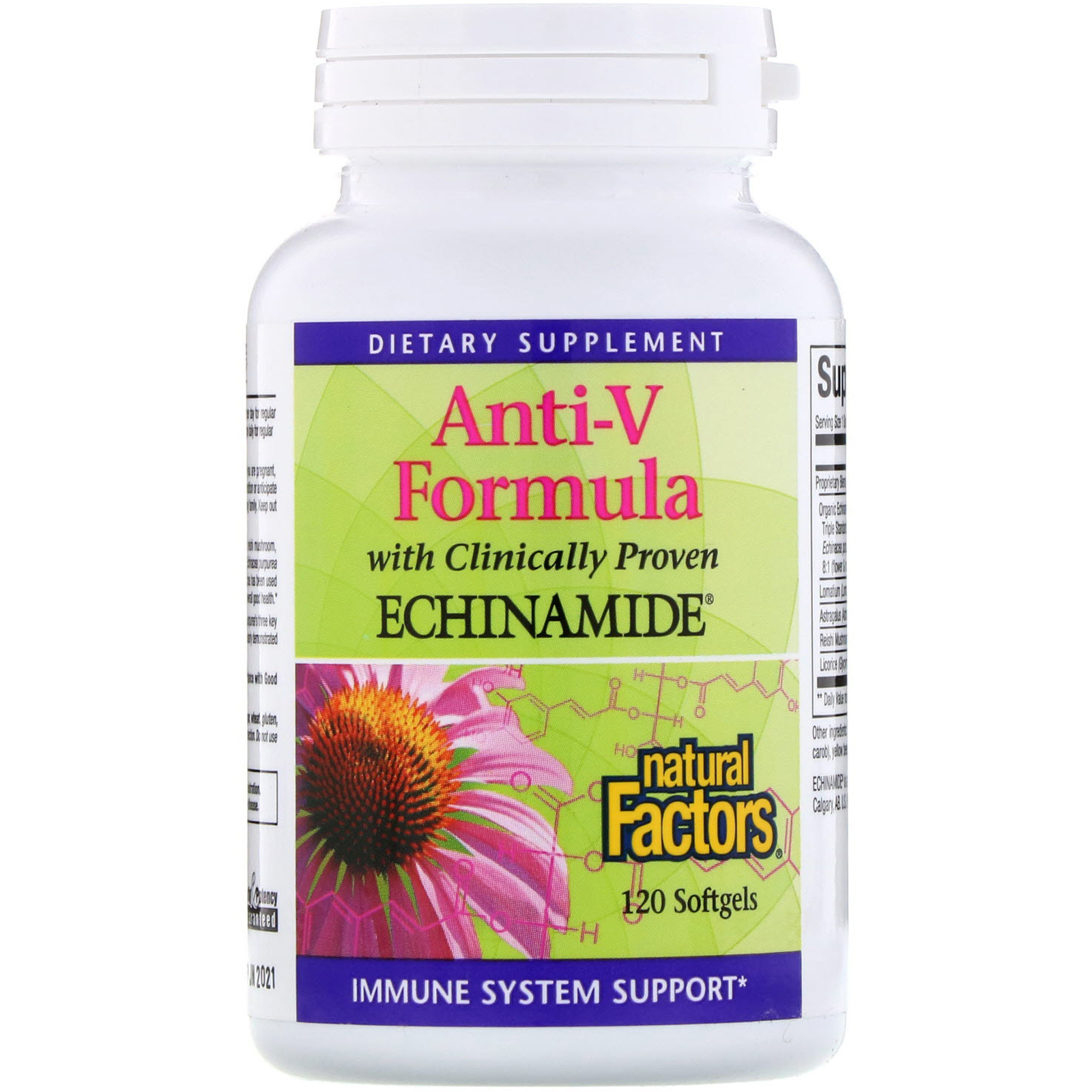 Comprar Natural Factors, Fórmula Anti-V com Equinamida, 120 Cápsulas Gelatinosas