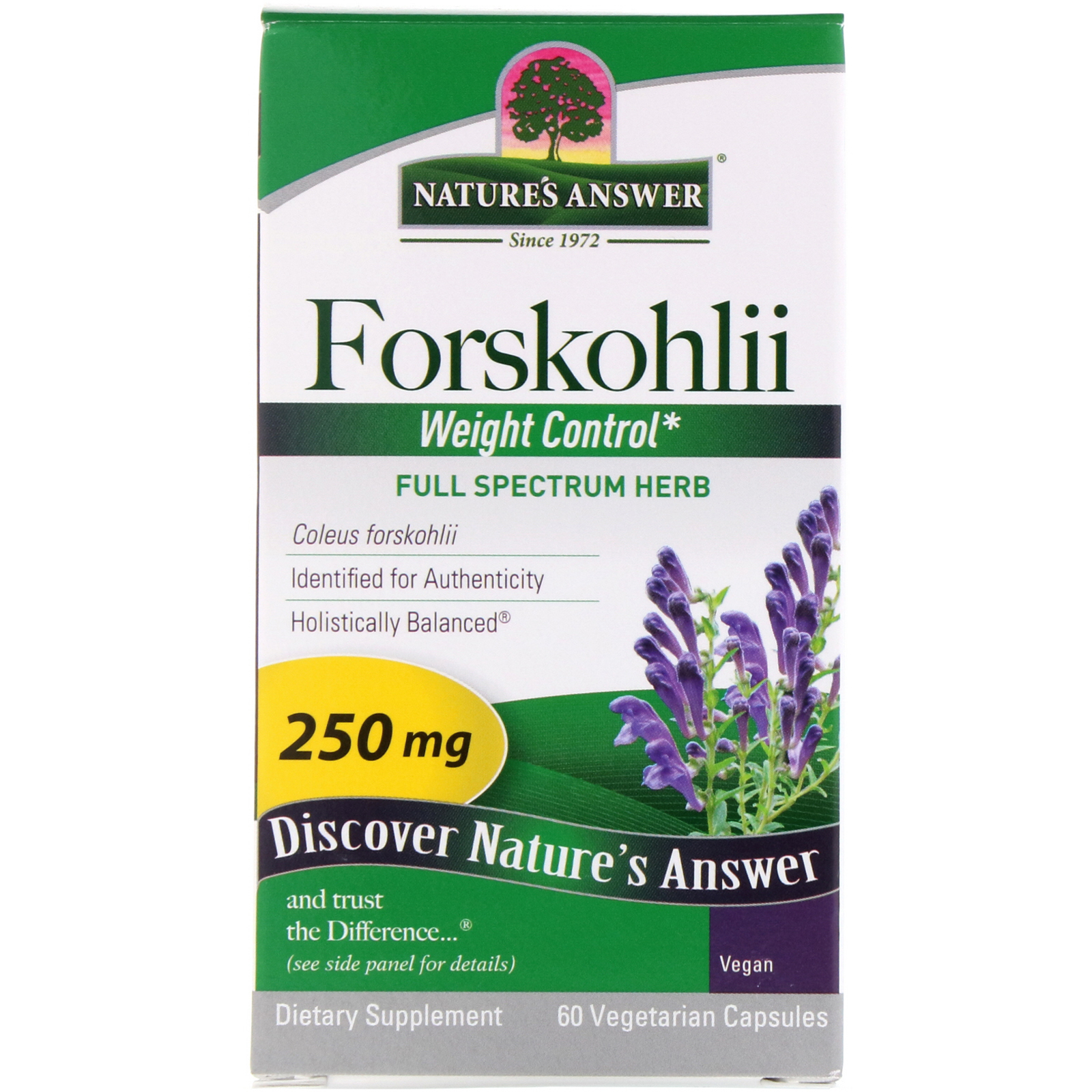 Comprar Nature's Answer, Forskohlii, 250 mg, 60 cápsulas vegetais