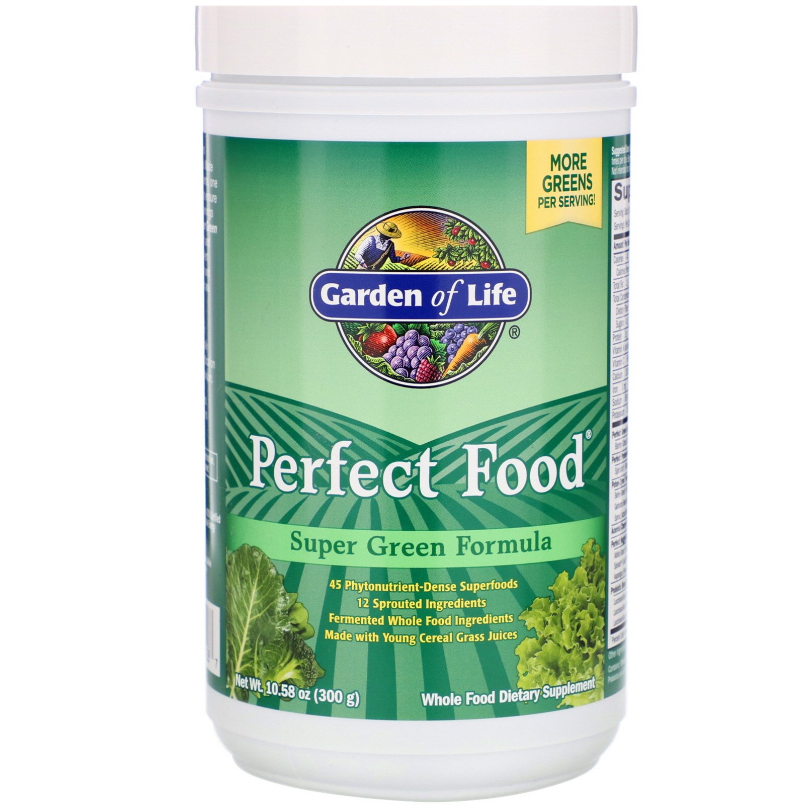 Comprar Garden of Life, Super Fórmula Verde Perfect Food, 300 g (10,58 oz)