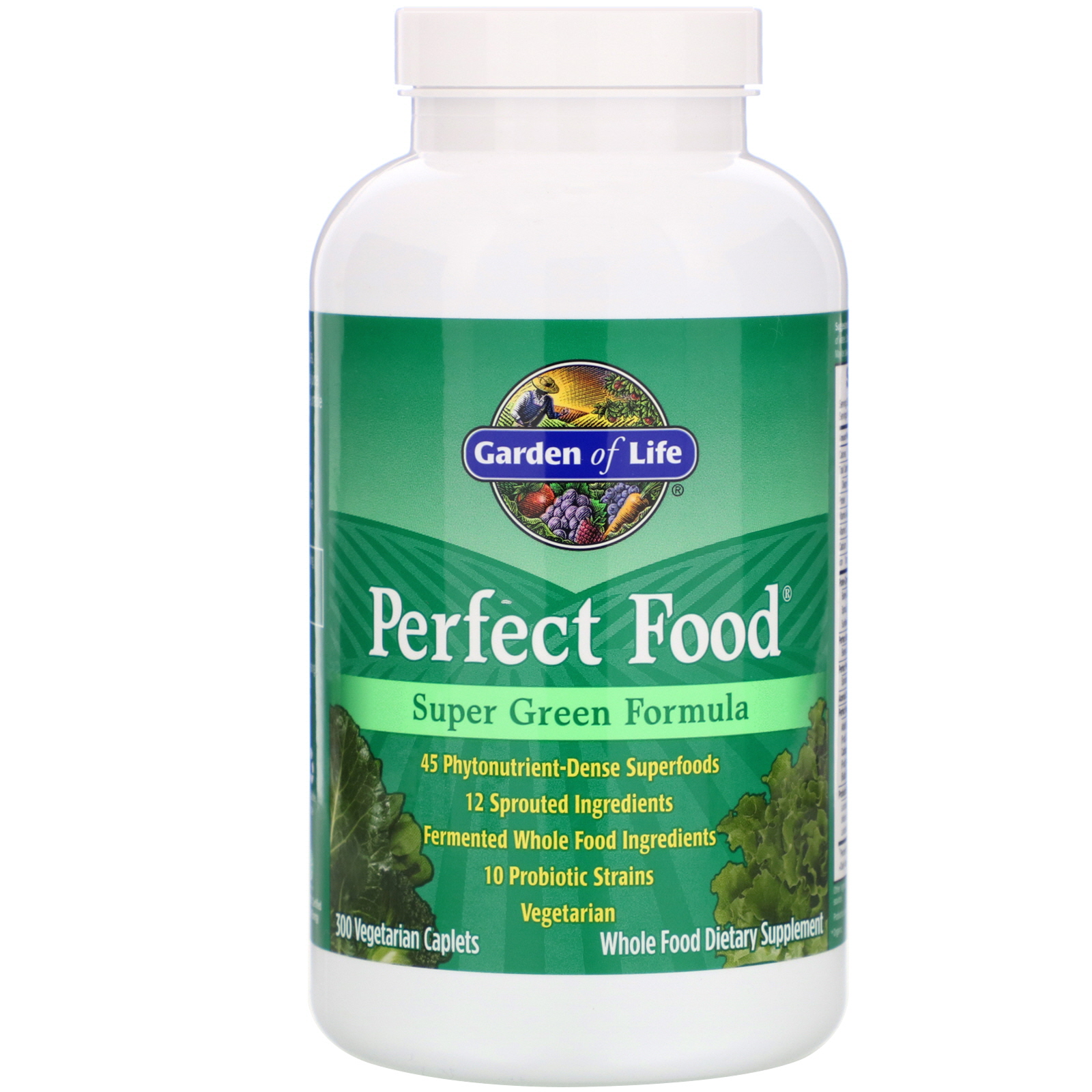 Comprar Garden of Life, Perfect Food, Super Green Formula, 300 Vegetarian Caplets