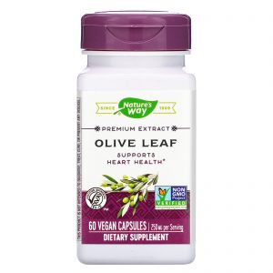 Comprar Nature's Way, Premium Extract, Olive Leaf, 250 mg, 60 Vegan Capsules