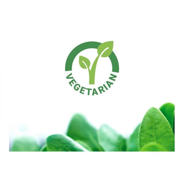Comprar Life Extension Super absorvíveis Isoflavonas de Soja 60 Cápsulas Vegetarianas - Imagem 4
