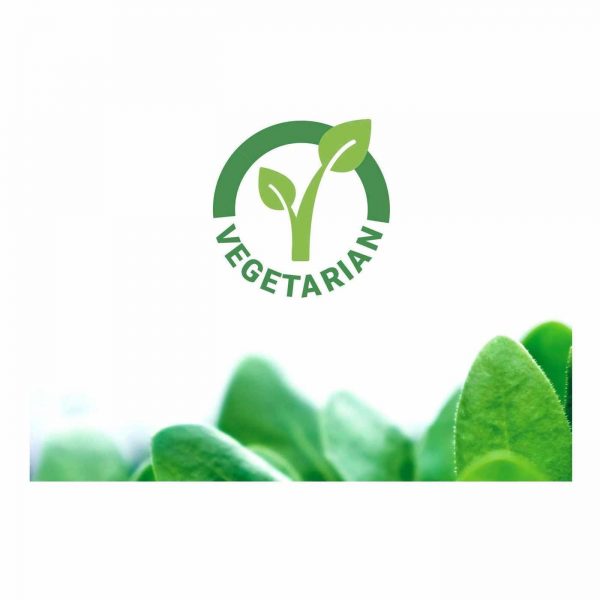 Comprar Life Extension, L-Teanina - 60 Cápsulas - Imagem 4