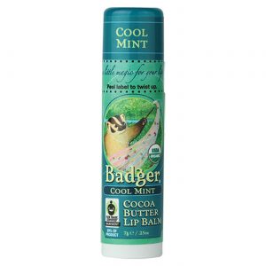 Comprar Badger. Bálsamo Labial de Manteiga de Cacau Orgânico, Menta Refrescante - 7 g