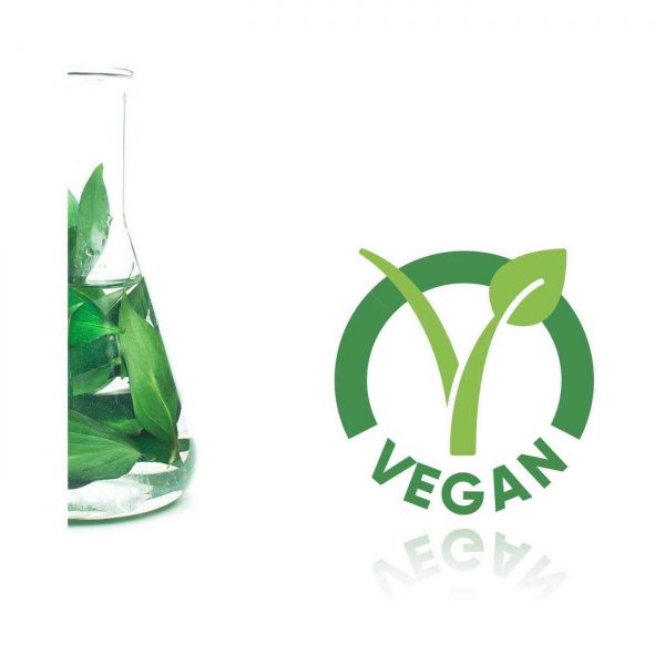 Comprar Life Extension PQQ Cápsulas com BioPQQ 30 Cápsulas Vegetarianas - Imagem 5