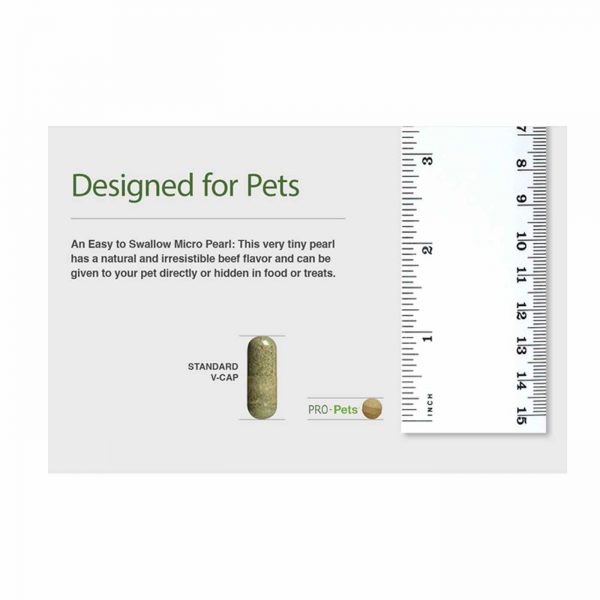 Comprar Hyperbiotics, PRO-Pets - Probiótico para Cães e Gatos - 60 Microcápsulas - Imagem 7