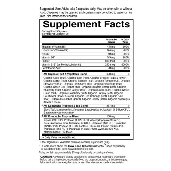 Comprar Garden of Life Vitamina Código RAW Kombucha 60 Cápsulas - Imagem 6