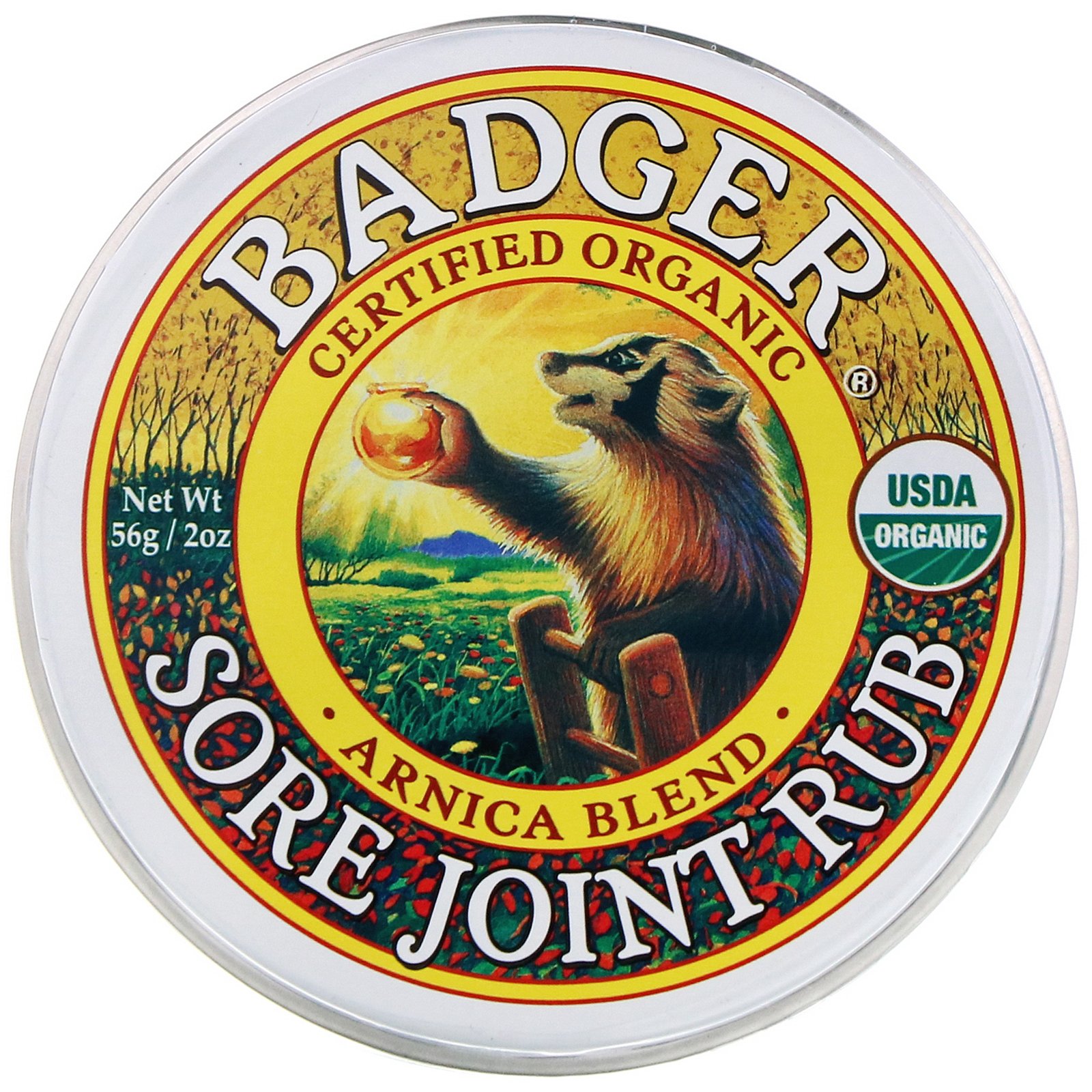 Comprar Badger Company, Pomada para Dor nas Articulações, Mistura de Arnica, 56 g (2 oz) - Imagem 3