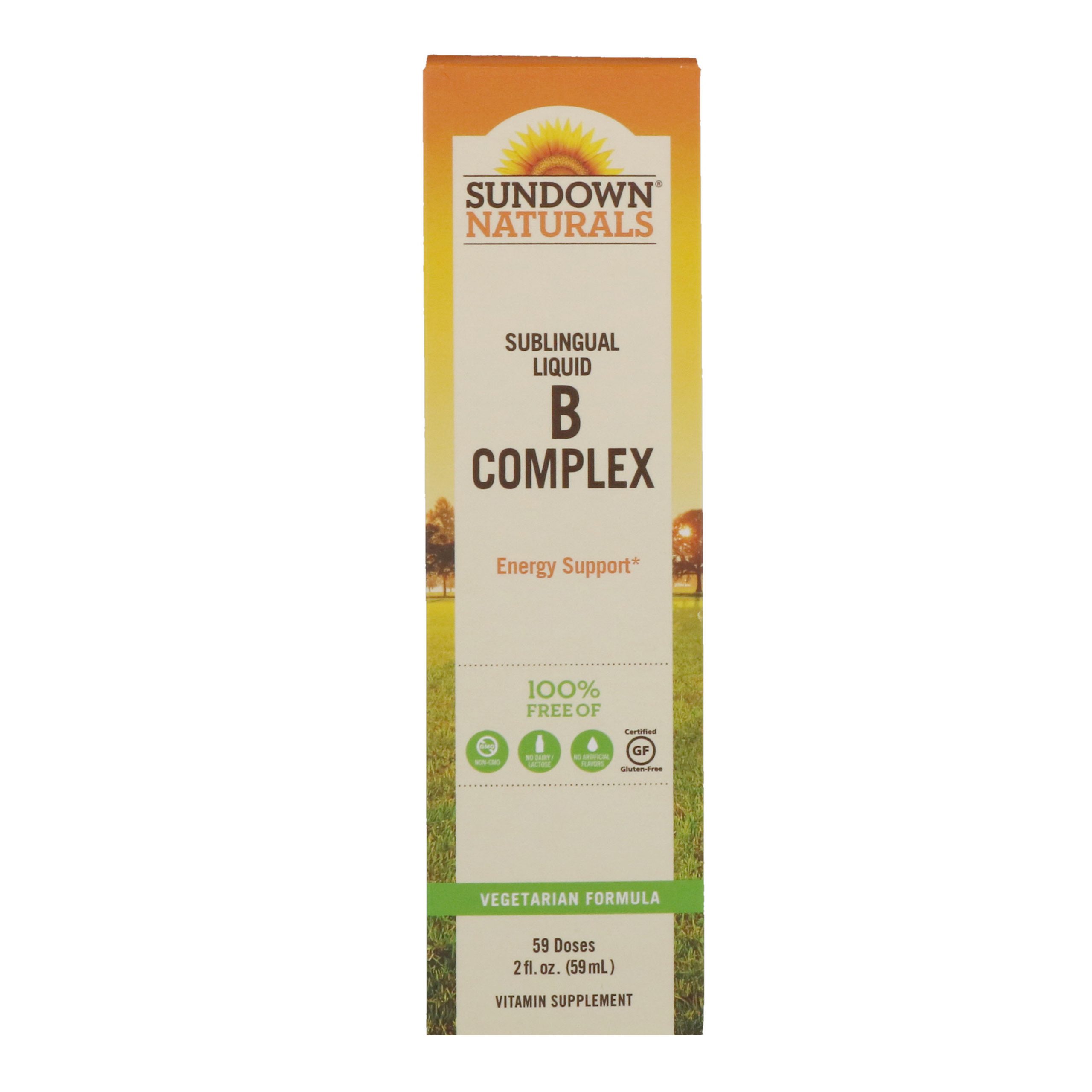 Comprar Sundown Naturals, Complexo B Líquido Sublingual com B-12, 2 fl oz (59 ml)