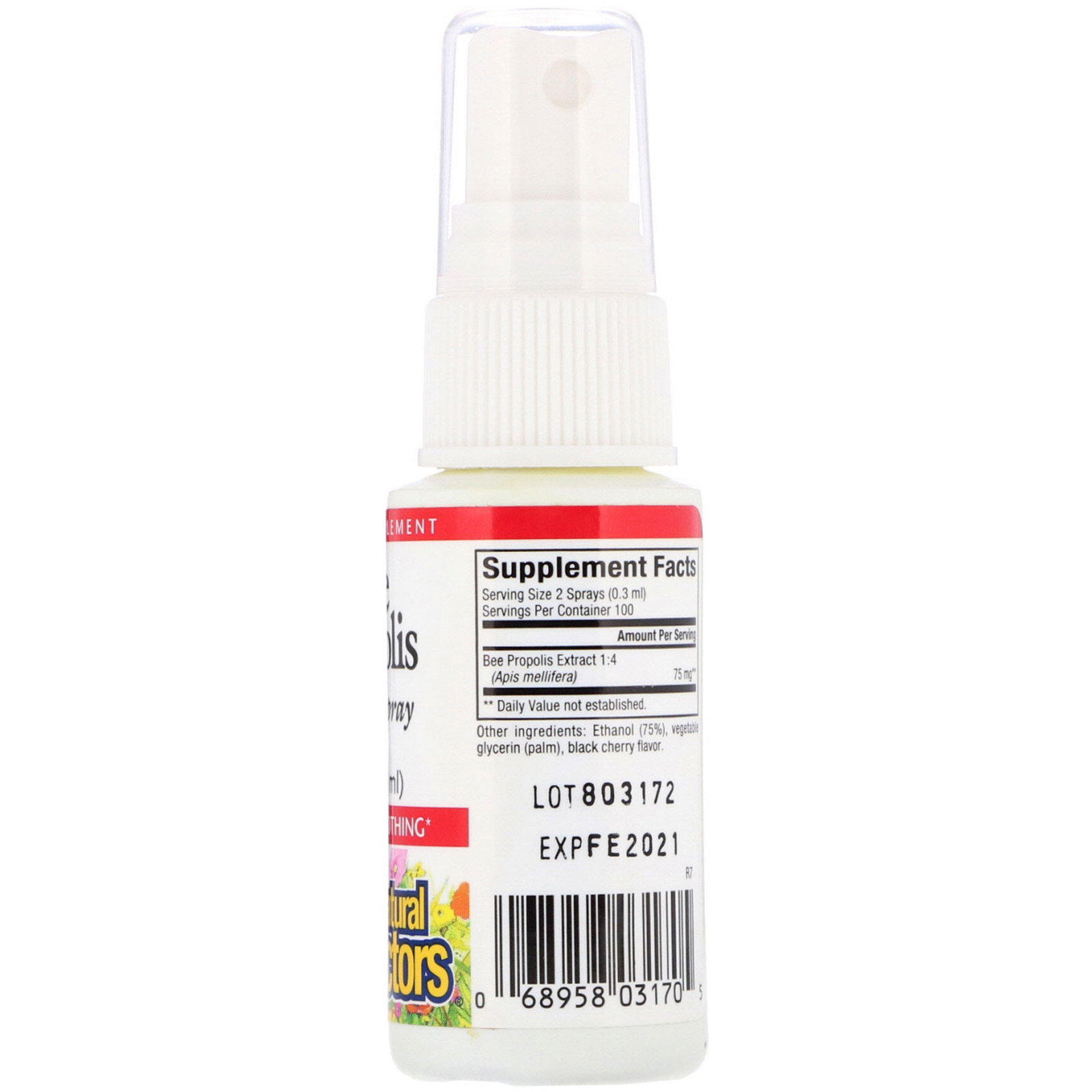 Comprar Natural Factors, Bee Propolis, Throat Spray, 1 fl oz (30 ml) - Imagem 2